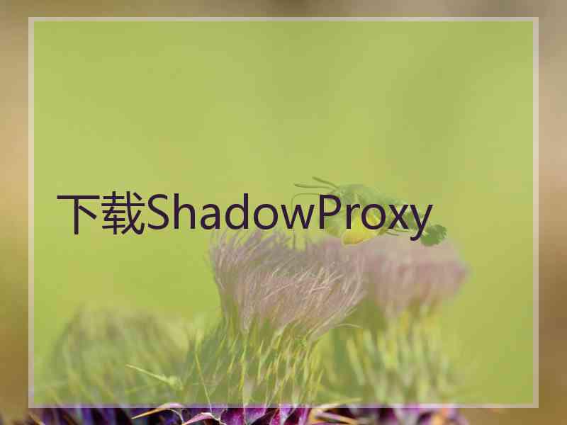 下载ShadowProxy