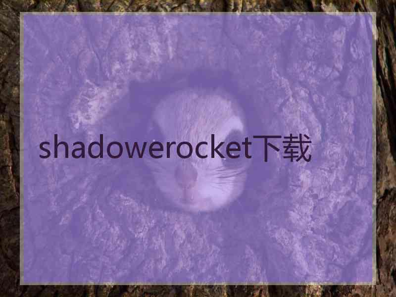 shadowerocket下载