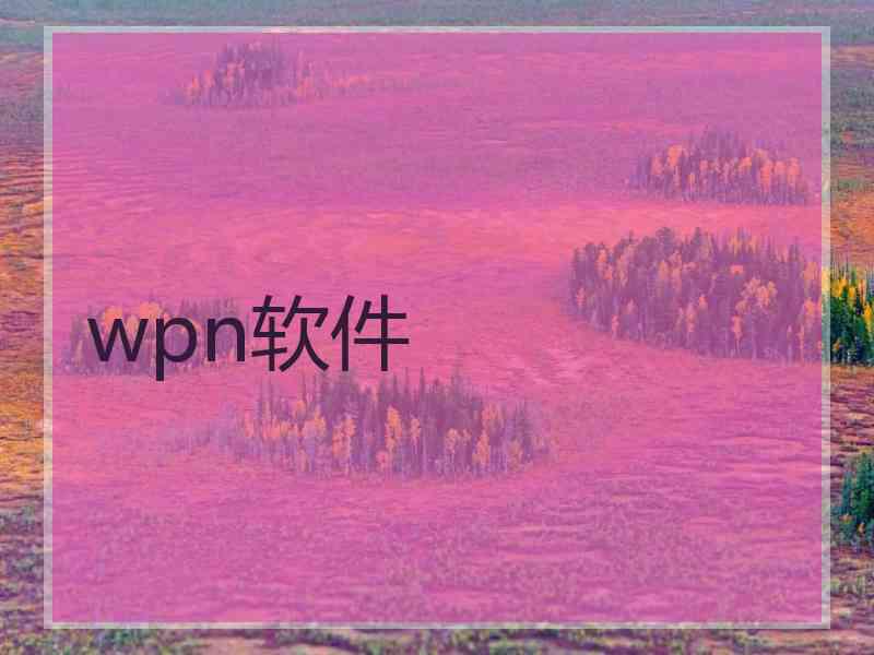 wpn软件