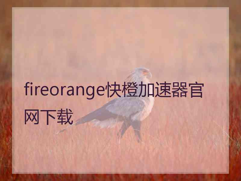 fireorange快橙加速器官网下载