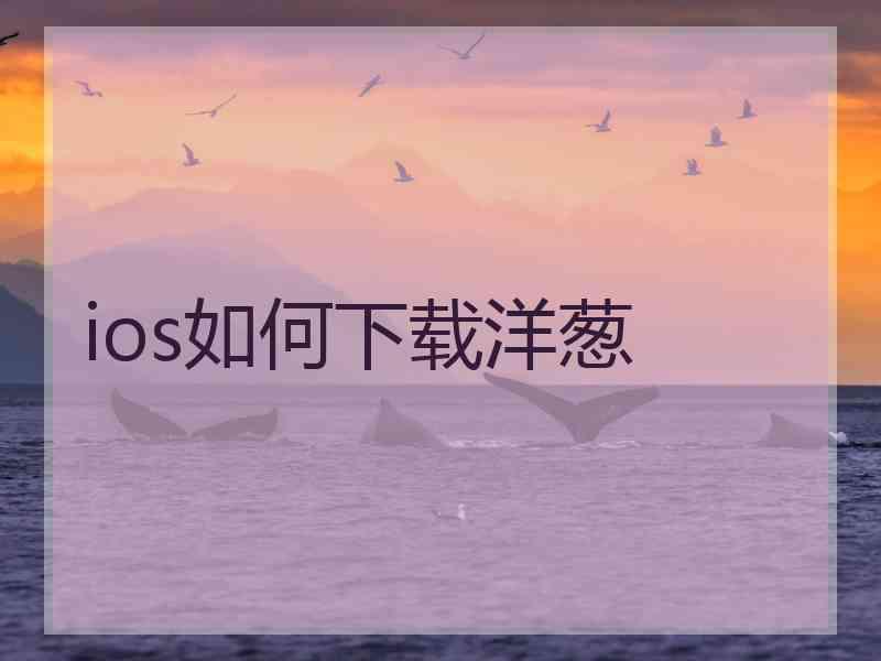 ios如何下载洋葱