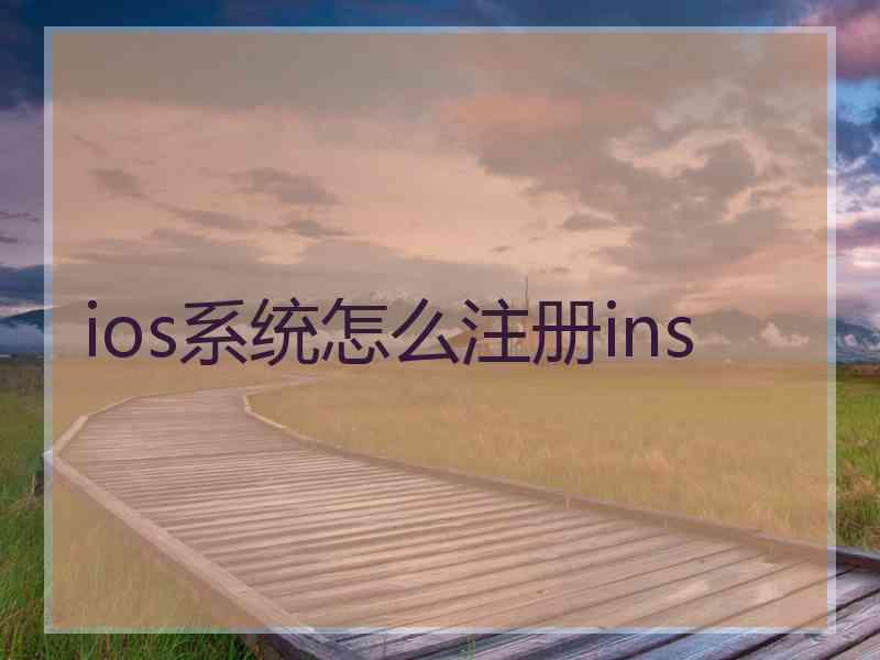 ios系统怎么注册ins