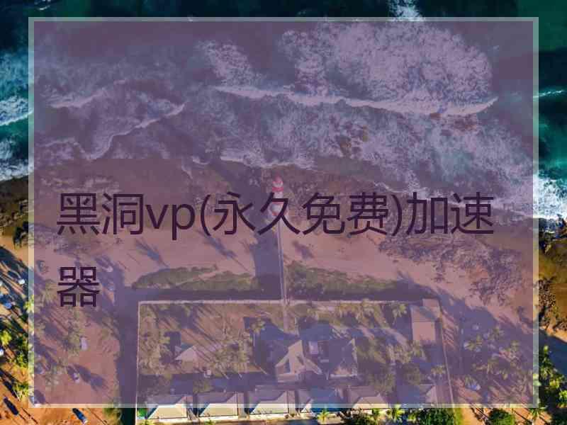 黑洞vp(永久免费)加速器