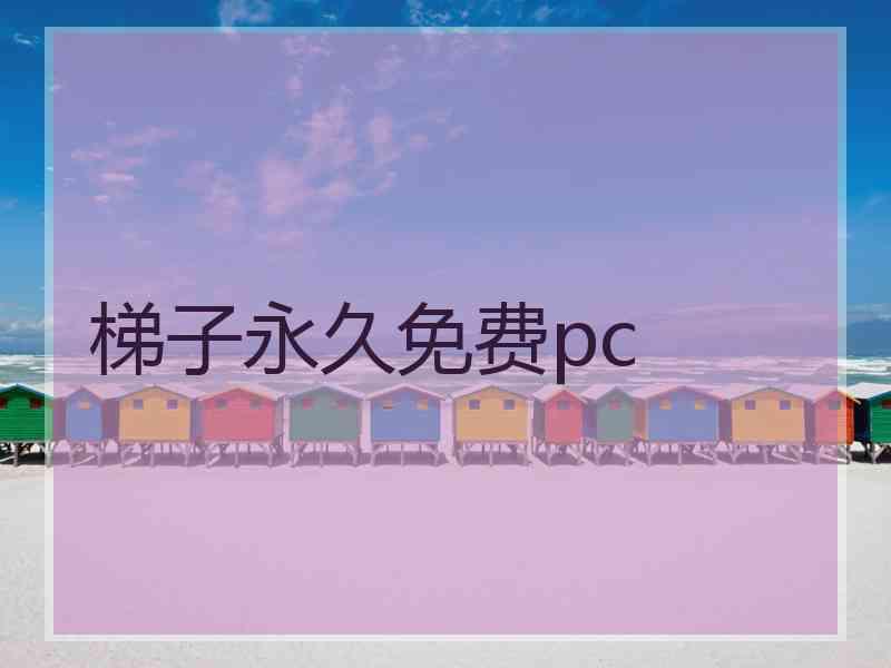 梯子永久免费pc