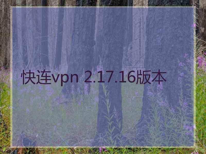 快连vpn 2.17.16版本