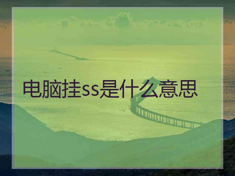 电脑挂ss是什么意思