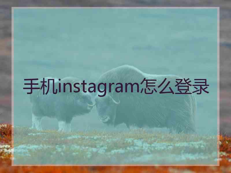 手机instagram怎么登录