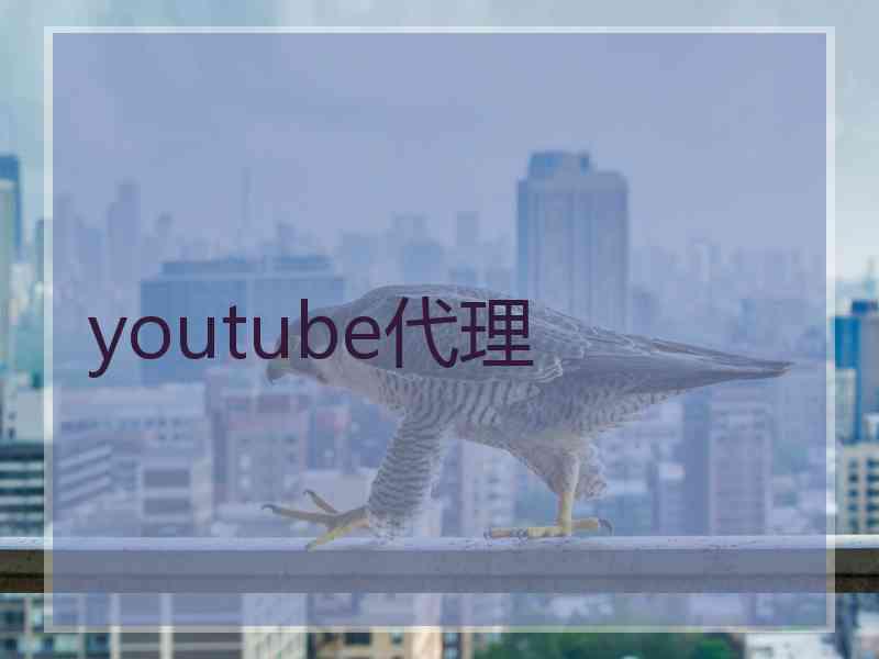 youtube代理