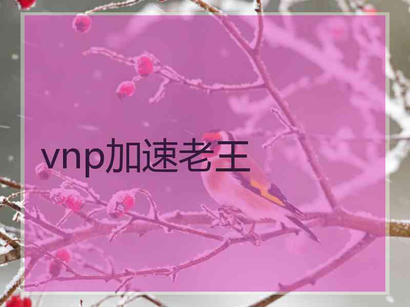 vnp加速老王