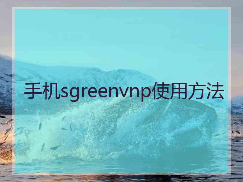 手机sgreenvnp使用方法