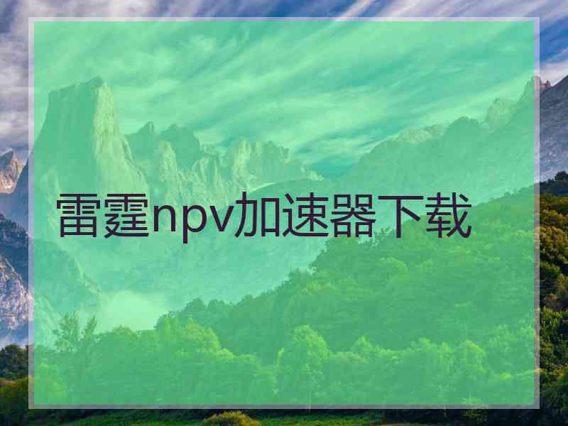 雷霆npv加速器下载